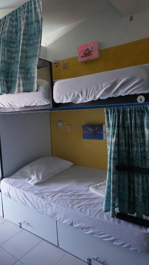 Oyster Hostel Veracruz Dış mekan fotoğraf