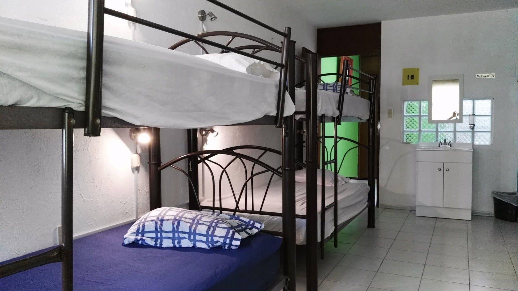 Oyster Hostel Veracruz Dış mekan fotoğraf